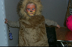 Robby-Lion-1