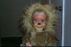 Robby-Lion-3